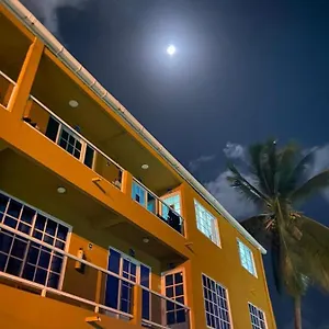 Sea Life San Andrés